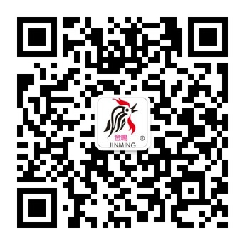惠来县隆江龙安调味食品厂